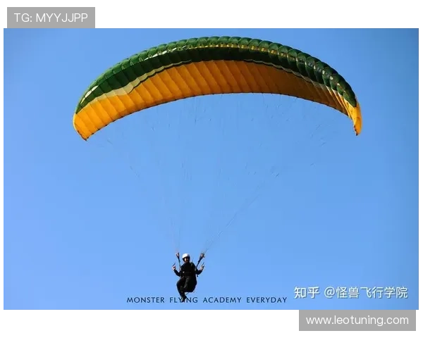 法国选手在国际滑翔伞精准降落锦标赛中力压群雄荣获冠军