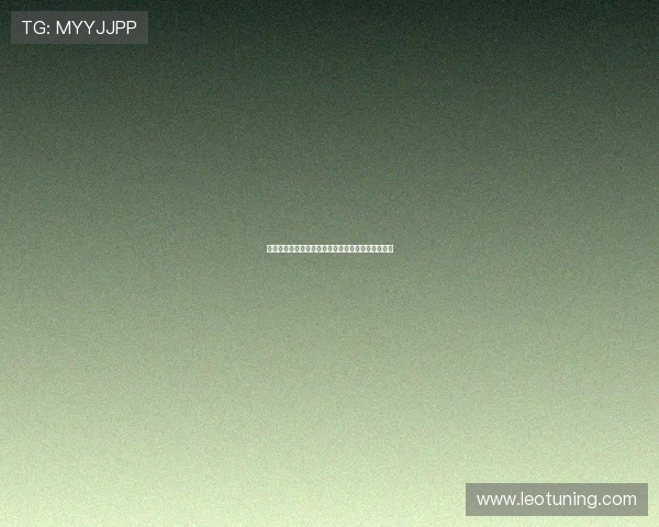 以图卢兹为中心探索法国南部的文化历史与美食之旅