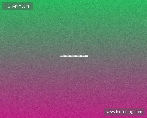 以图卢兹为中心探索法国南部的文化历史与美食之旅